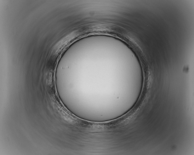 X0000114560777200911161222