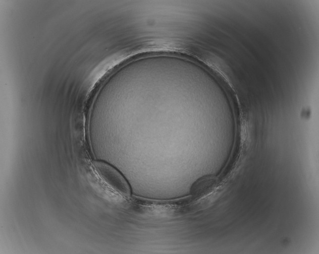 X0000114560781200911161222