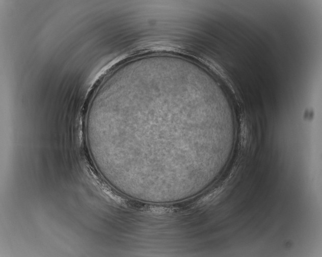 X0000114560782200911161222