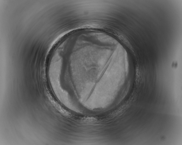 X0000114560784200911161222