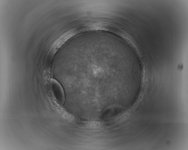 X0000114560785200911161222
