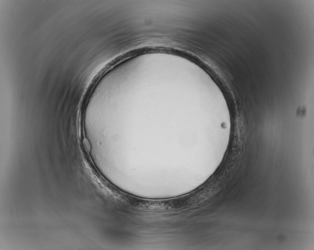 X0000114560791200911161222