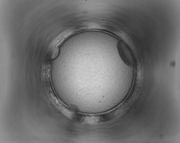 X0000114560793200911161222
