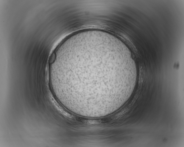 X0000114560796200911161222