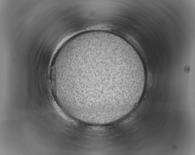 X0000114560800200911161222