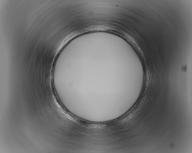 X0000114560802200911161222