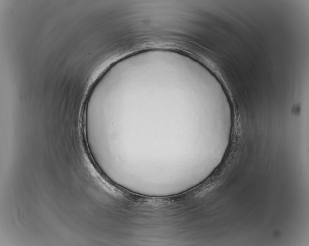 X0000114560803200911161222
