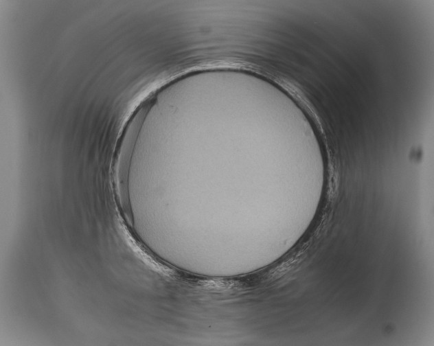 X0000114560805200911161222