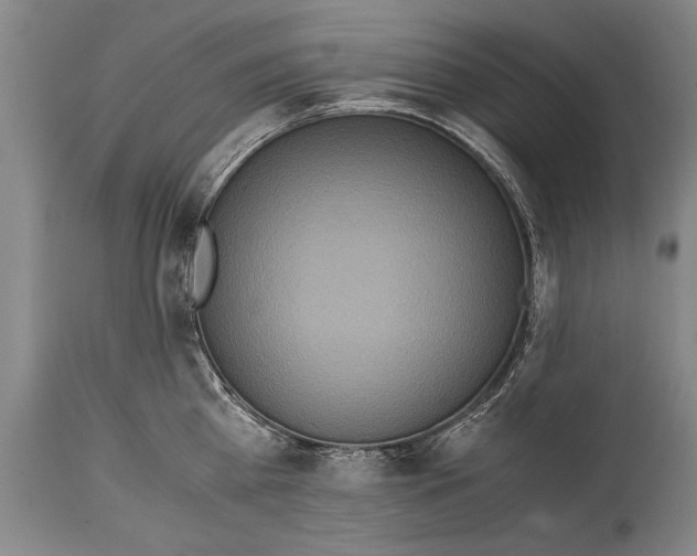 X0000114560809200911161222