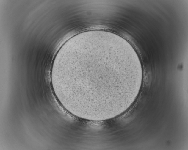 X0000114560810200911161222