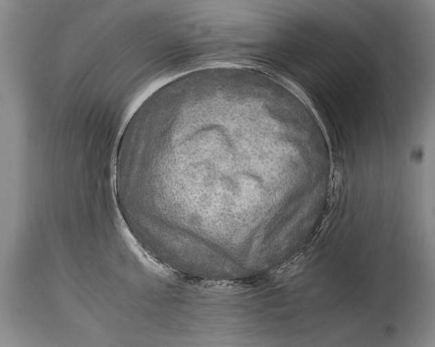 X0000114560811200911161222
