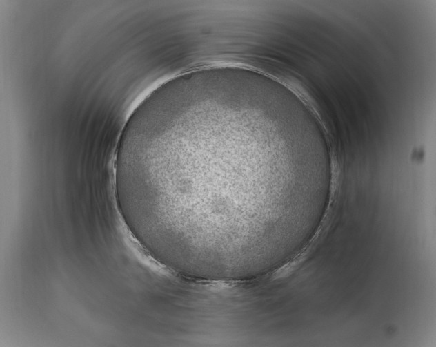 X0000114560814200911161222