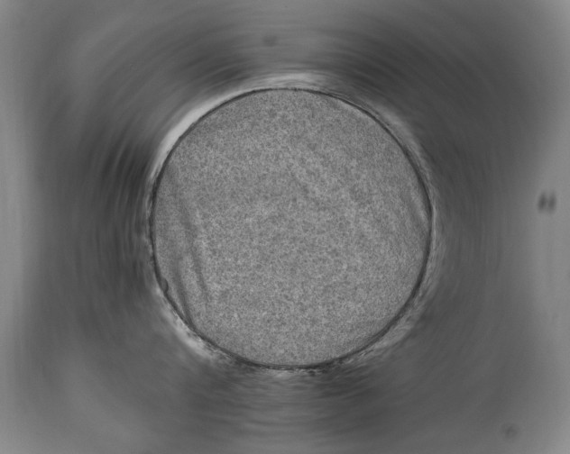 X0000114560816200911161222