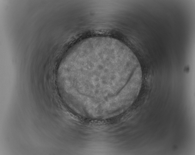 X0000114560817200911161221