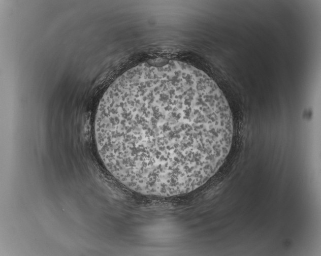 X0000114560818200911161221