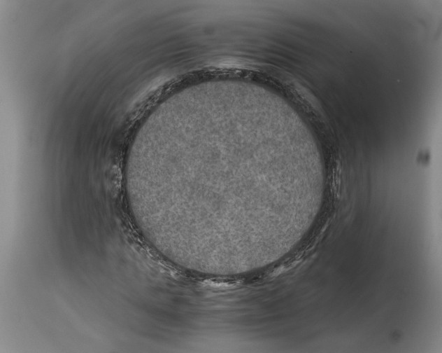 X0000114560821200911161221