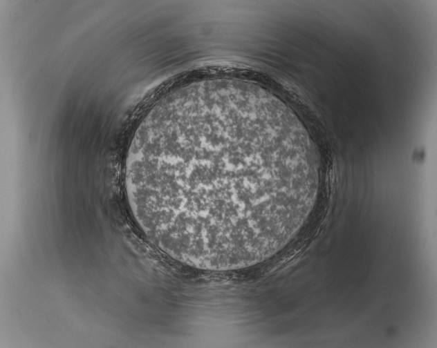 X0000114560822200911161221
