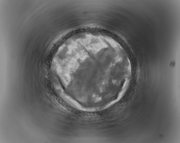 X0000114560823200911161221
