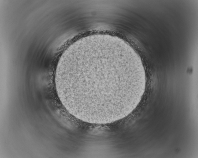X0000114560824200911161221