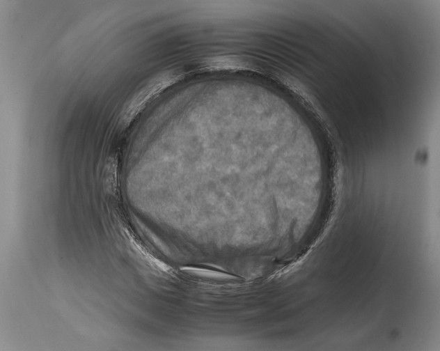 X0000114560825200911161221