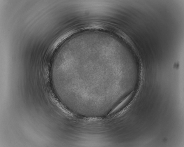 X0000114560826200911161221