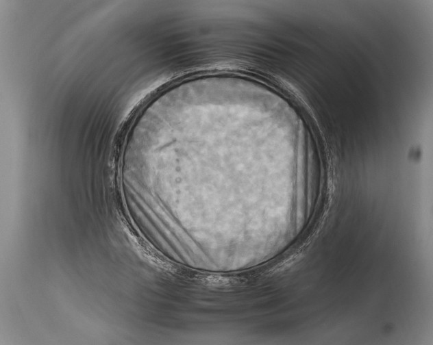 X0000114560827200911161221