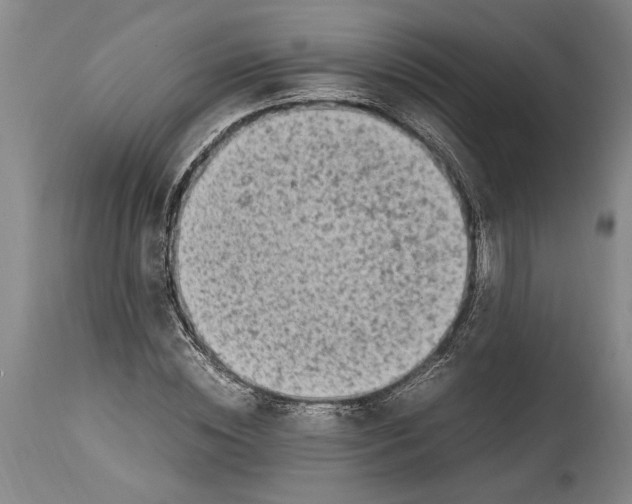 X0000114560828200911161221