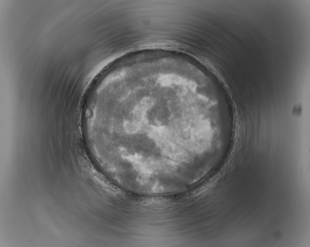 X0000114560830200911161221