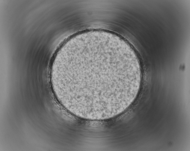 X0000114560832200911161221
