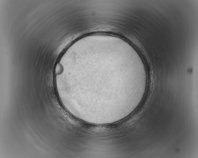 X0000114560834200911161222