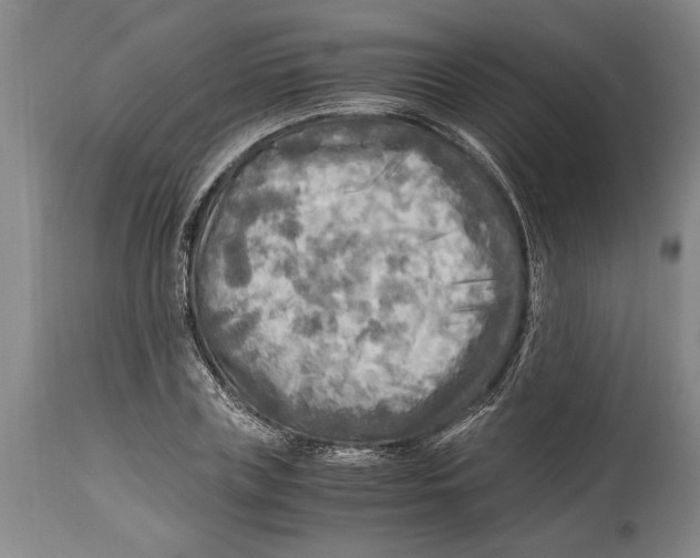 X0000114560835200911161222