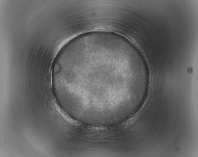 X0000114560838200911161222