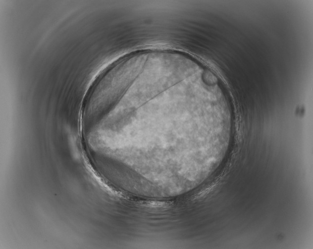 X0000114560839200911161222