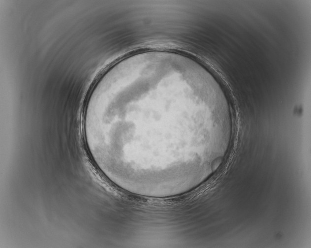 X0000114560840200911161222
