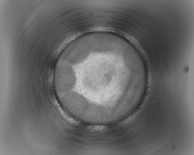 X0000114560841200911161222