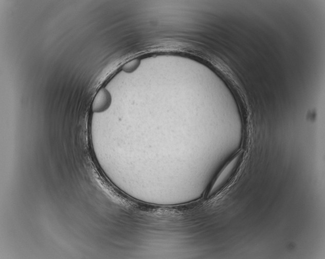 X0000114560842200911161222