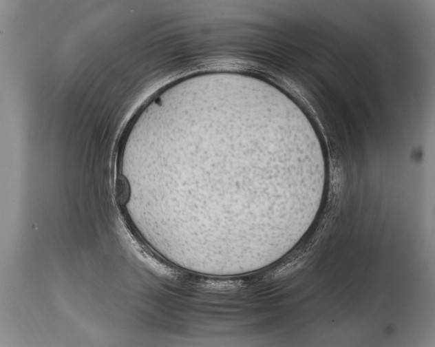X0000114560843200911161222