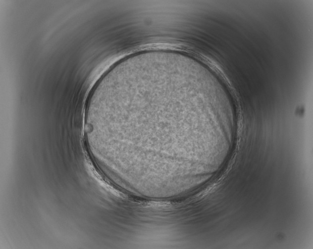 X0000114560844200911161222