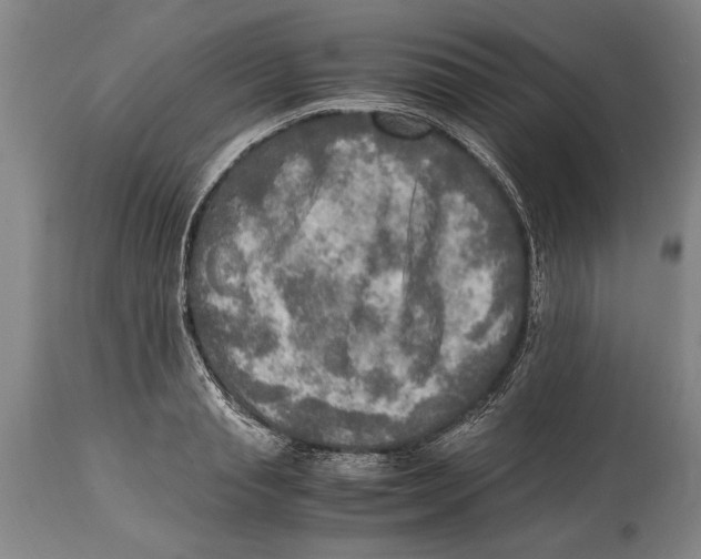 X0000114560845200911161222