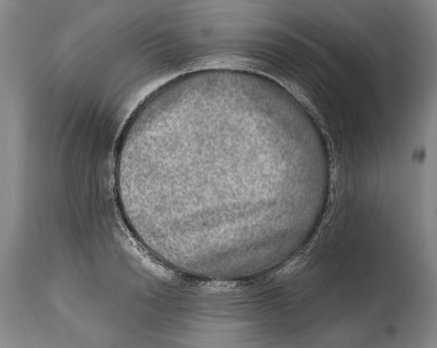 X0000114560846200911161222