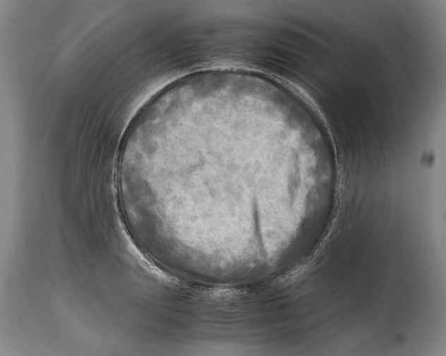 X0000114560847200911161222