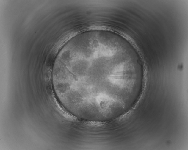 X0000114560849200911161222