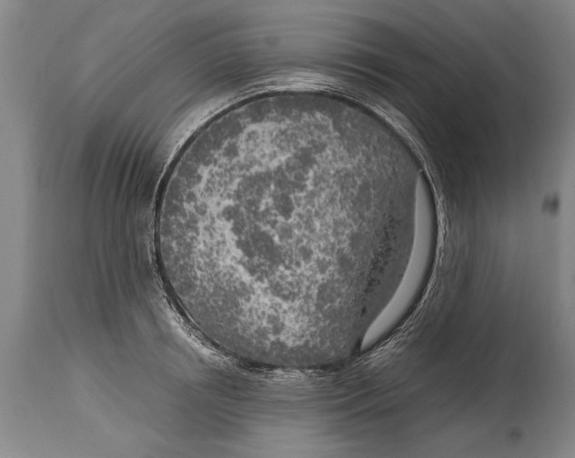 X0000114560850200911161222