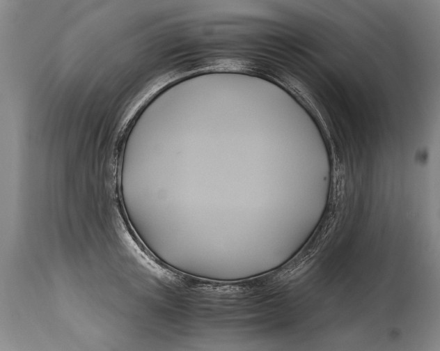 X0000114560851200911161222
