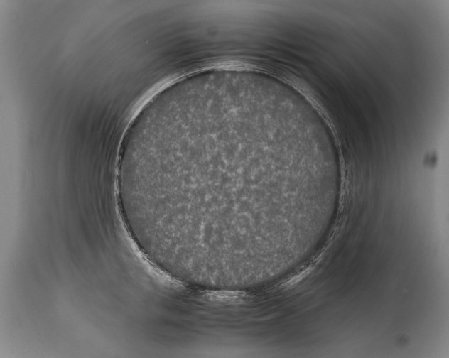 X0000114560853200911161222