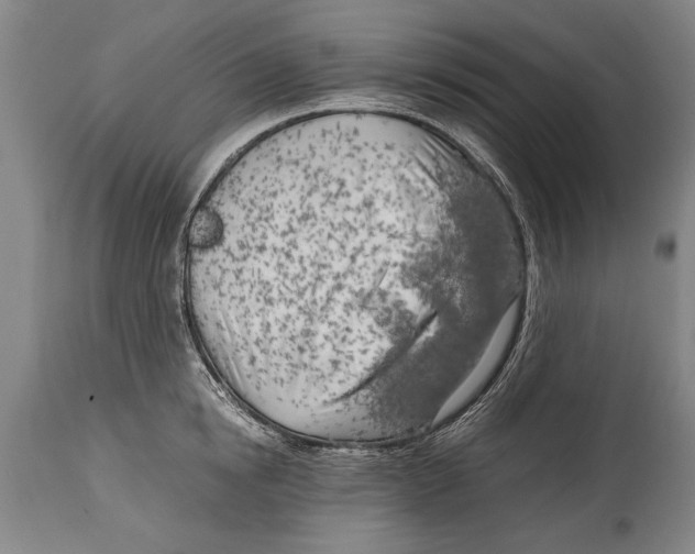 X0000114560854200911161222