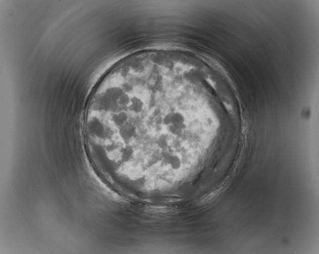 X0000114560855200911161222