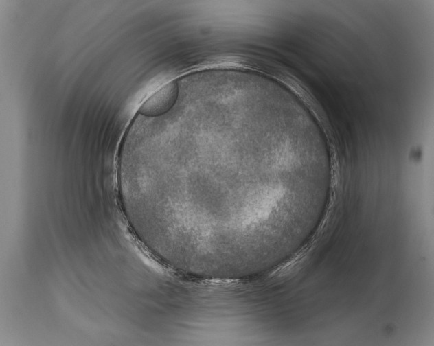 X0000114560858200911161222