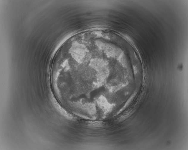 X0000114560859200911161222