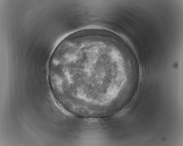 X0000114560862200911161222